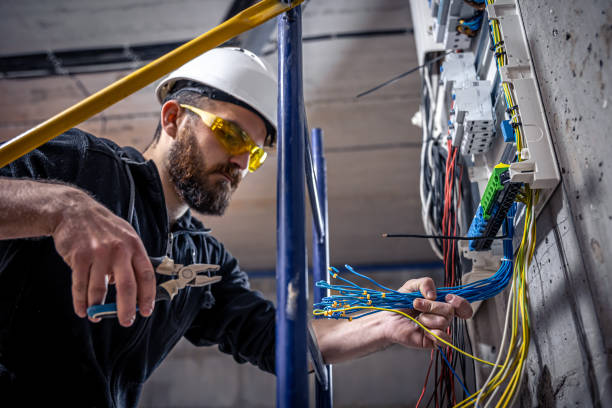Best Electrical Rewiring Services  in Newberry, MI