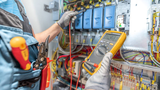 Best Electric Panel Repair  in Newberry, MI